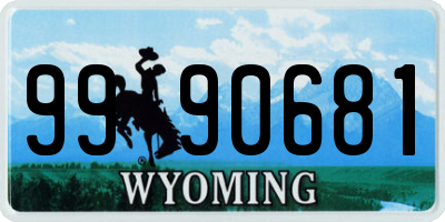 WY license plate 9990681