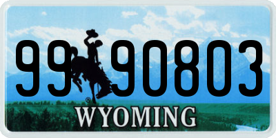 WY license plate 9990803
