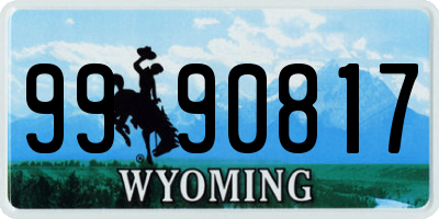 WY license plate 9990817