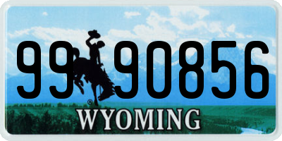 WY license plate 9990856