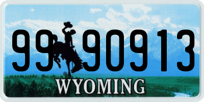 WY license plate 9990913