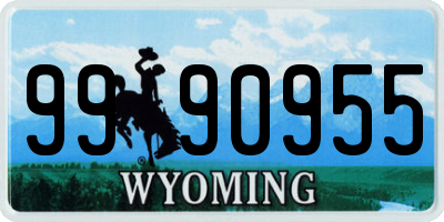 WY license plate 9990955