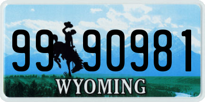 WY license plate 9990981