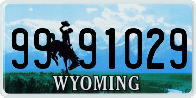 WY license plate 9991029