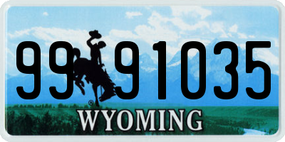 WY license plate 9991035