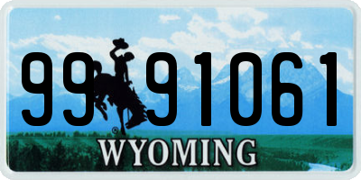 WY license plate 9991061