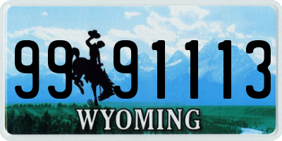 WY license plate 9991113