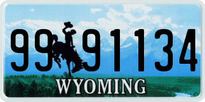 WY license plate 9991134