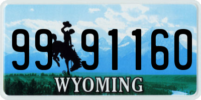 WY license plate 9991160