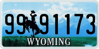 WY license plate 9991173