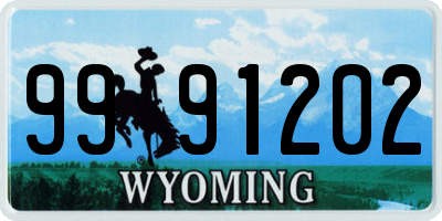 WY license plate 9991202