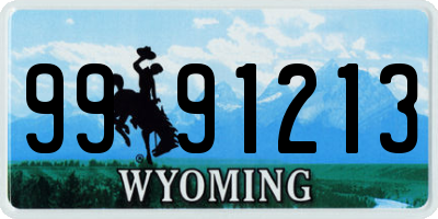 WY license plate 9991213