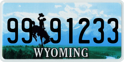 WY license plate 9991233