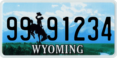 WY license plate 9991234