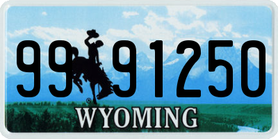 WY license plate 9991250