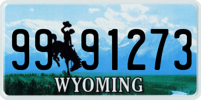WY license plate 9991273