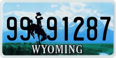 WY license plate 9991287