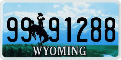 WY license plate 9991288