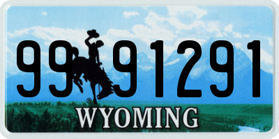 WY license plate 9991291