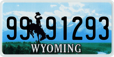 WY license plate 9991293