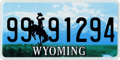 WY license plate 9991294