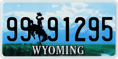WY license plate 9991295