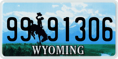 WY license plate 9991306
