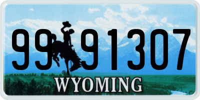 WY license plate 9991307