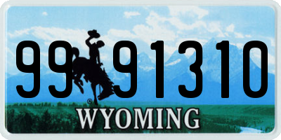 WY license plate 9991310