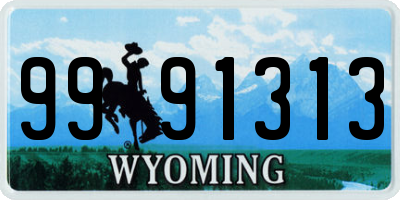 WY license plate 9991313