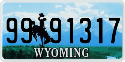 WY license plate 9991317