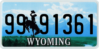 WY license plate 9991361