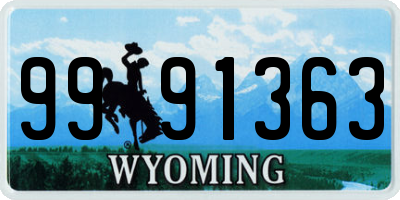 WY license plate 9991363
