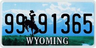 WY license plate 9991365