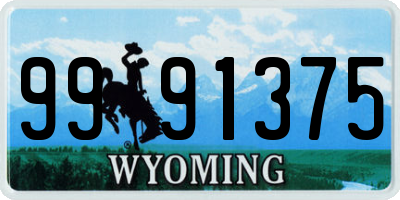 WY license plate 9991375