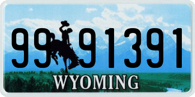 WY license plate 9991391