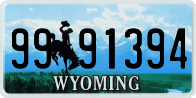 WY license plate 9991394