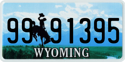 WY license plate 9991395