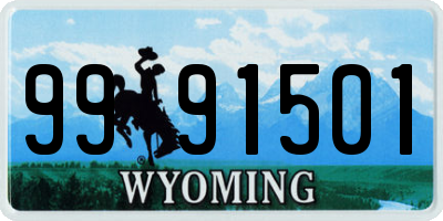 WY license plate 9991501