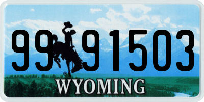 WY license plate 9991503