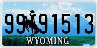 WY license plate 9991513