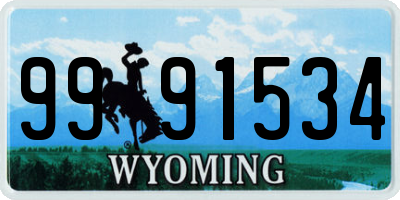 WY license plate 9991534