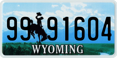 WY license plate 9991604