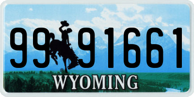 WY license plate 9991661