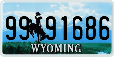 WY license plate 9991686