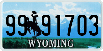 WY license plate 9991703