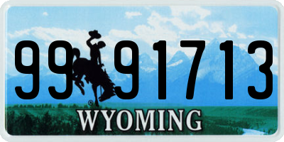 WY license plate 9991713