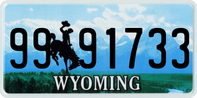 WY license plate 9991733