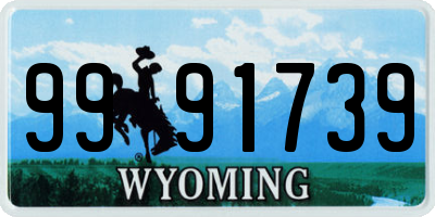 WY license plate 9991739