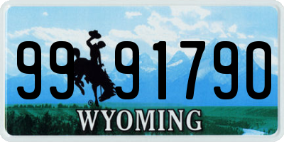 WY license plate 9991790